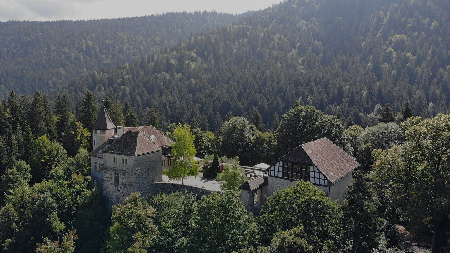 Scenic view of Bovet boutique surrounded by lush forest and mountains.