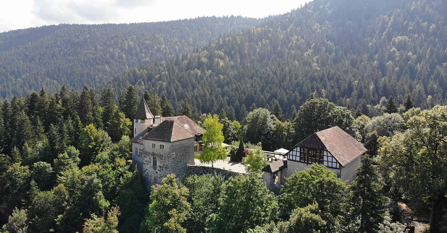 Scenic view of Bovet's historic house nestled in lush forested mountains.